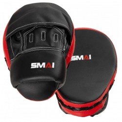 Palmare SMAI SYNTEC Palmare SMAI SYNTEC