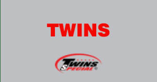 シャインまま 様 twins TWINS