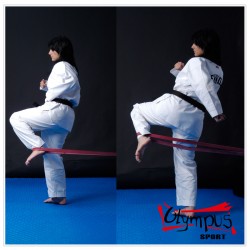 Banda de elastic plata pentru Power-Kick training Banda de elastic plata pentru Power-Kick training