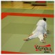 Saltea Judo AGGLOREX Standard Vinil 200x100x4cm